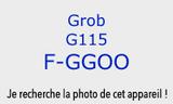 F-GGOO Grob 115 - G115